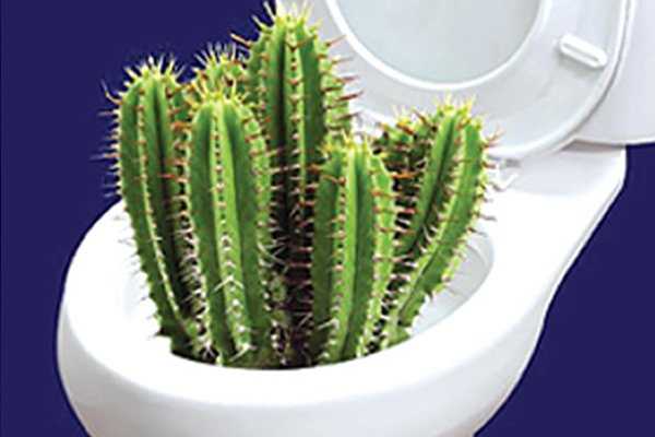 piles clinic in chennai, piles doctor in chennai, piles specialist in chennai, piles treatment in chennai, piles doctor in Ambattur, piles treatment medicine in chennai, ayurvedic doctor in  chennai,  ayurvedic clinic in  chennai, ayurvedic doctors in  chennai,  piles clinic in  chennai, siddha clinic, ayurveda clinic  chennai, ayurvedic health center in  chennai, ayurvedic clinic in anna nagar, ayurvedic clinic in  chennai, ayurvedic clinic in mylapore, ayurvedic clinic in Velachery, ayurvedic doctors in  chennai, ayurvedic doctors in  chennai  t nagar , best ayurvedic clinic in  chennai, best ayurvedic doctor in tambaram, good ayurvedic doctor in  chennai, siddha doctor in anna nagar, siddha doctor in t nagar, top ayurvedic doctors in  chennai, best ayurvedic clinic in  chennai, best ayurvedic doctor in  chennai, best ayurvedic doctor in tambaram, best ayurvedic hospital for psoriasis in  chennai, siddha clinic, siddha clinic near me, siddha doctor near me, siddha health centre, top ayurvedic doctors in  chennai
